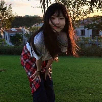 富贵吉娃娃